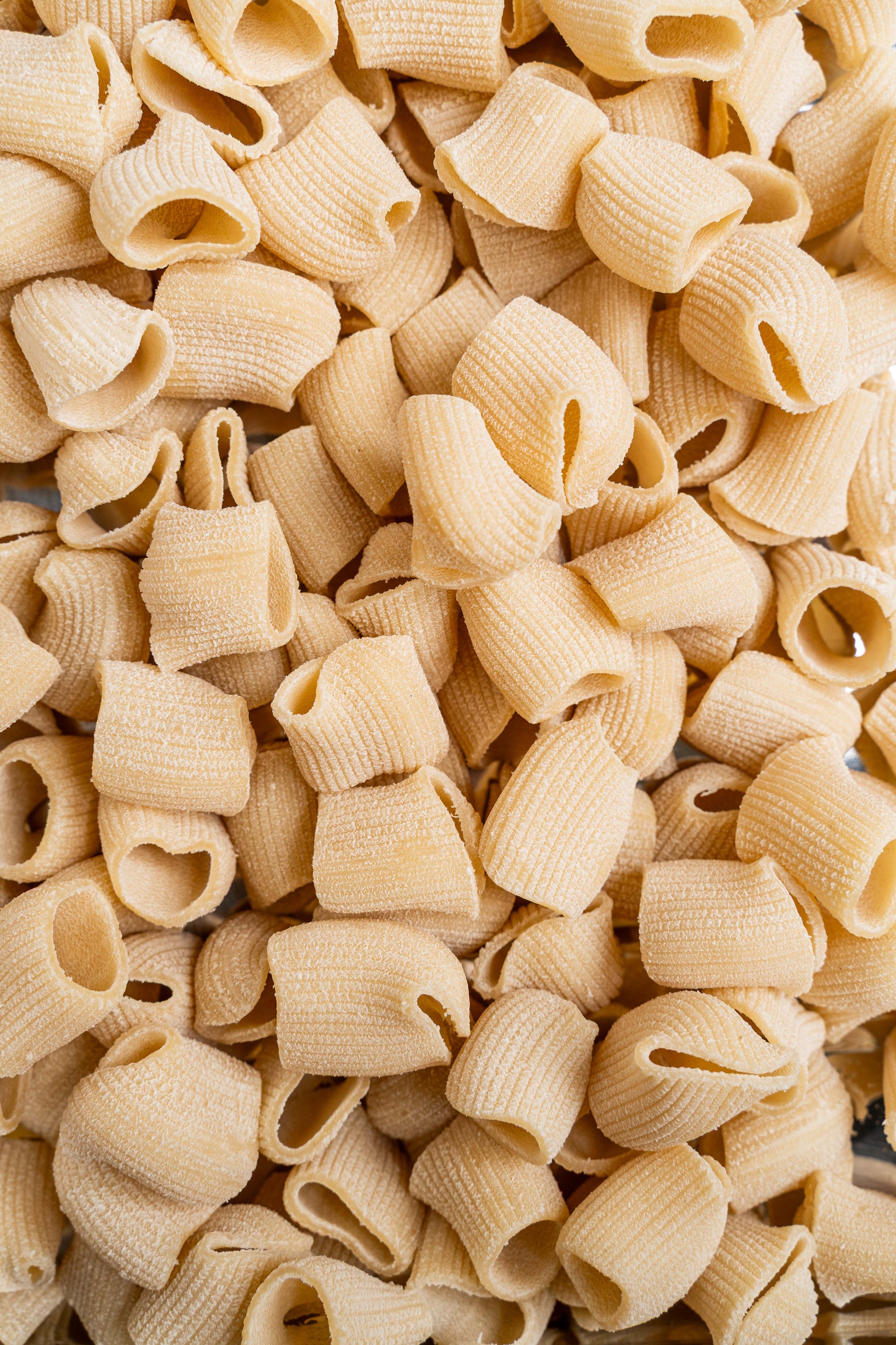Fresh Pasta 1kg